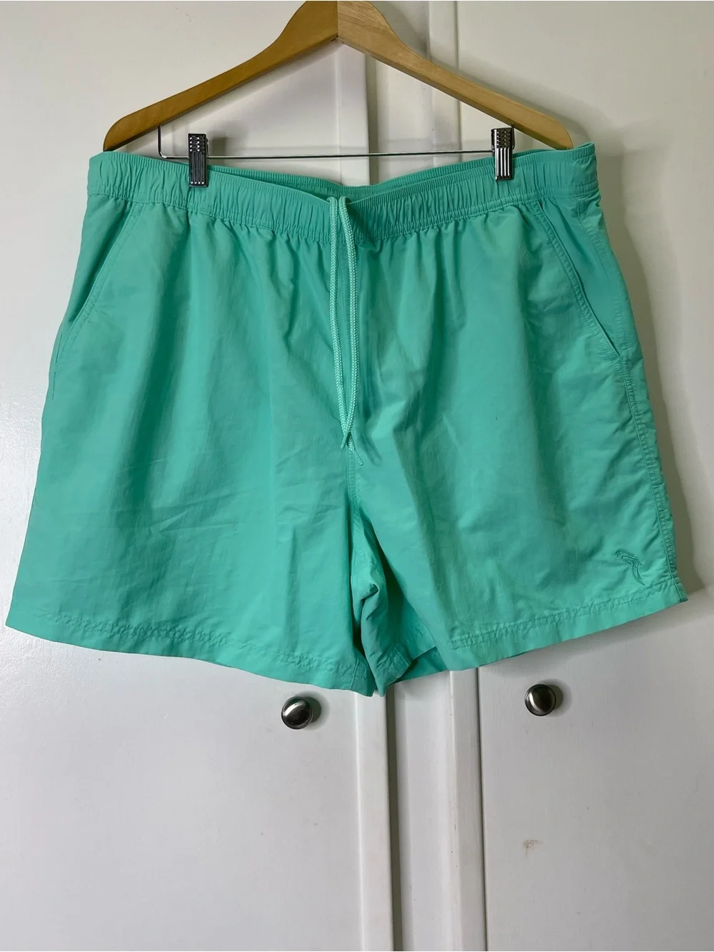 Caribbean swimwear Men's 4 Pockets 6 inch Shorts Swim Trunks, Pastel Green XXL
